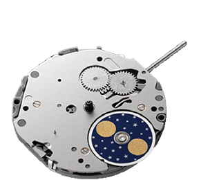 Movement Multi-Function